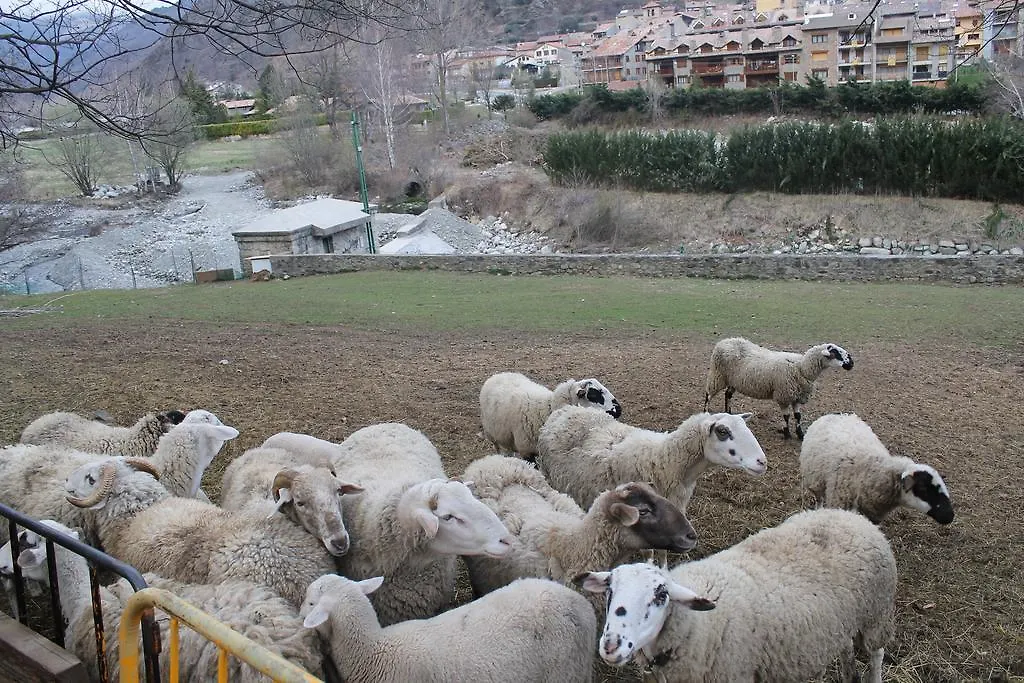 Apartament Torrent De La Barruda Appartement Vilallonga de Ter Spanje